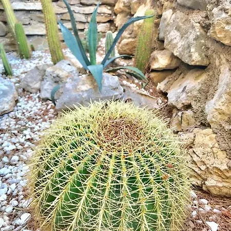 Casa Marti בית נופש