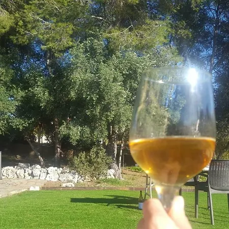 Casa Marti *
